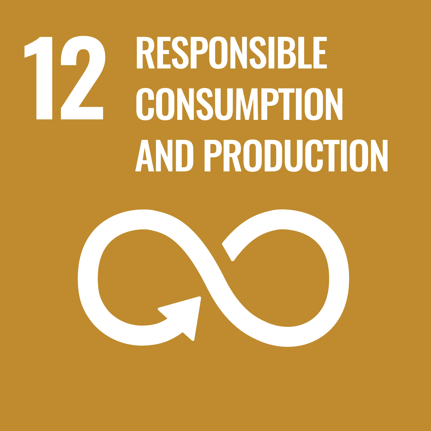SDG 12 - nachhaltiger Konsum/Produktion
