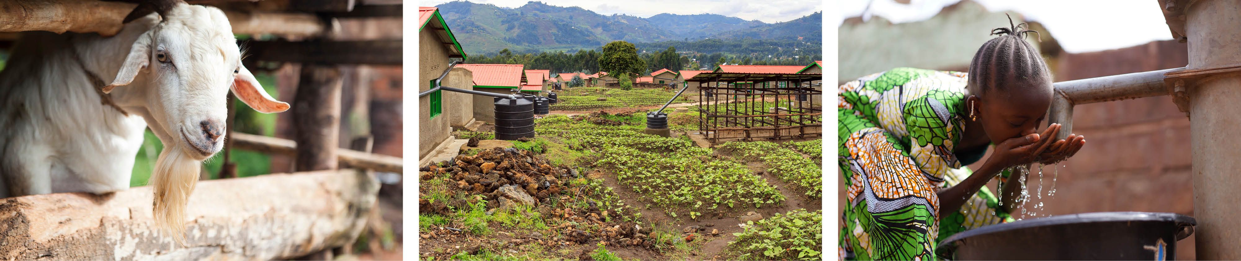 Ziege - Dorft mit kleinen Biogasanlagen - Mädchen trinkt sauberes Wasser