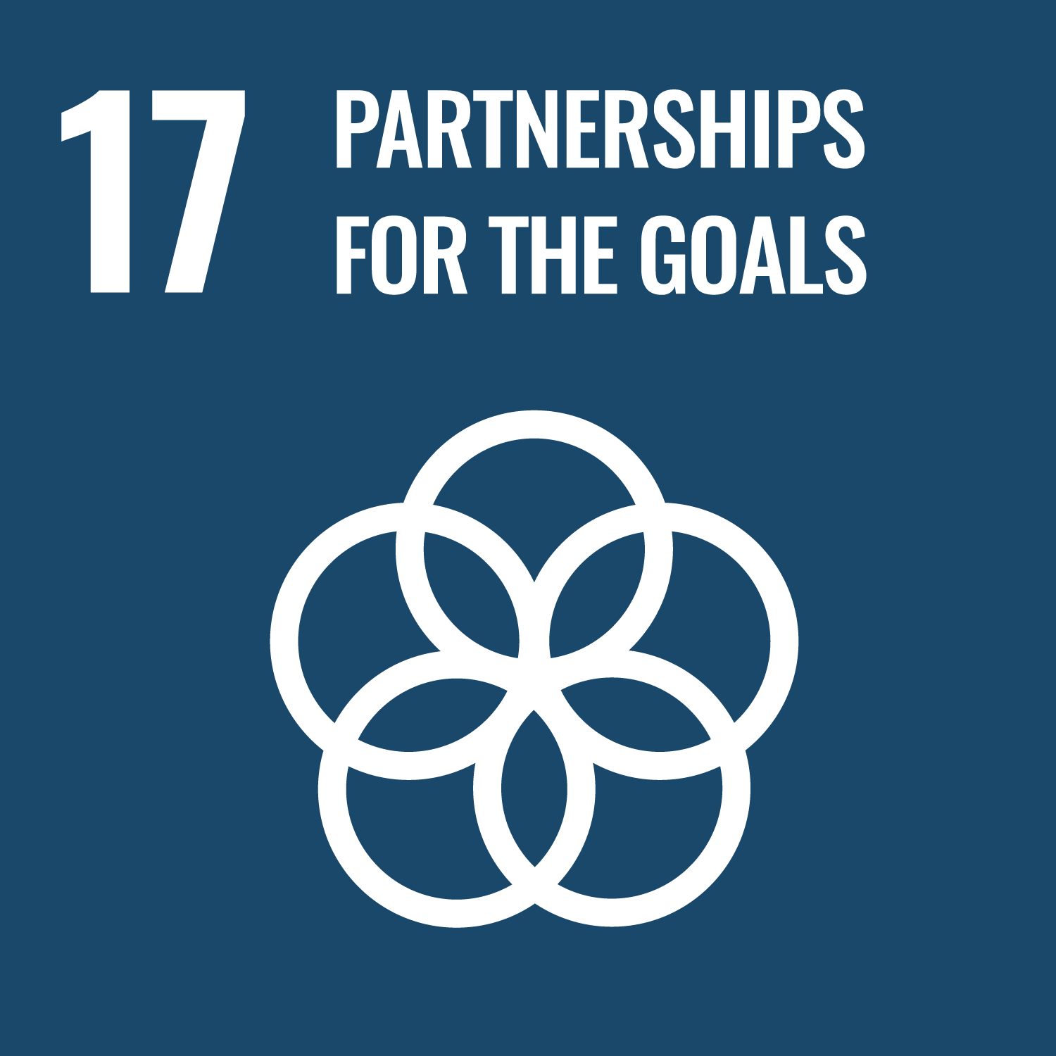 SDG 17 - Partnerschaft