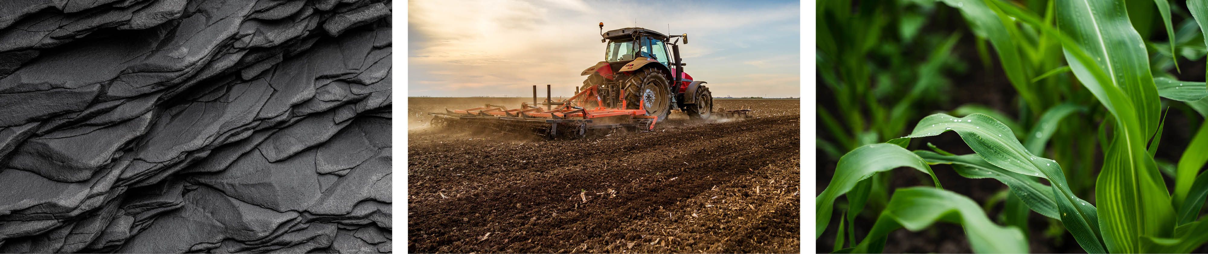 Basaltschichten - Traktor pflügt ein Feld - Maispflanzen